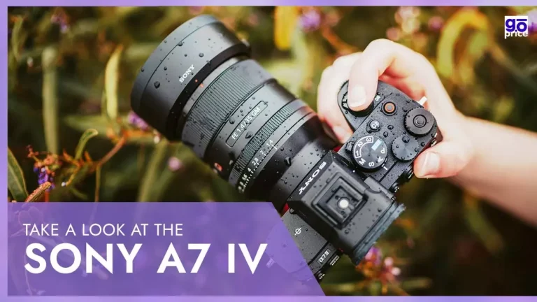 Take a look at the Sony A7 IV