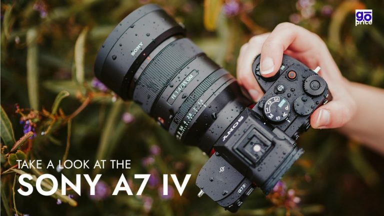 Take a look at the Sony A7 IV